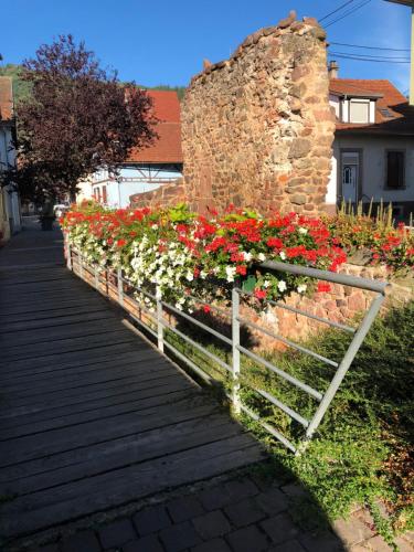 Chambre spacieuse dans joli village alsacien