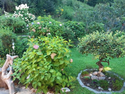 TOP Garden View in Volders, Österreich