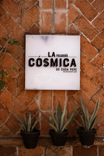 386005820 Casa Pepe