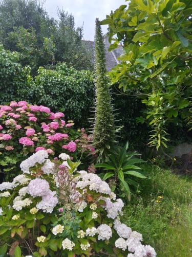 MAISON AVEC JARDIN PROCHE MER