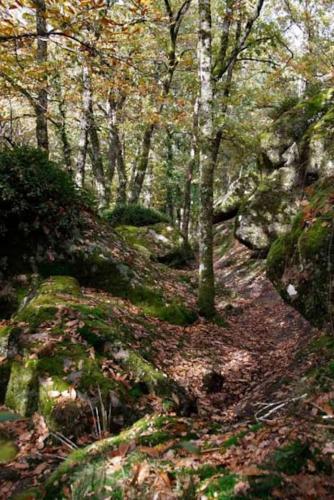 Appartement indépendant, terrasse couverte, rouge (Appartement independant, terrasse couverte, rouge) in Nieul