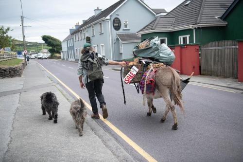 Dingle Holiday Homes - image 14