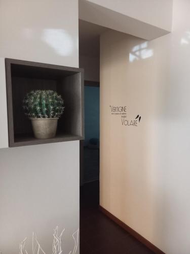 I Tulipani di Anna - Panicarola