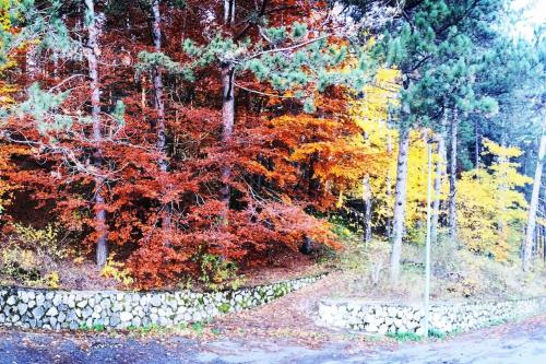 L' incantevole Tana di Oto