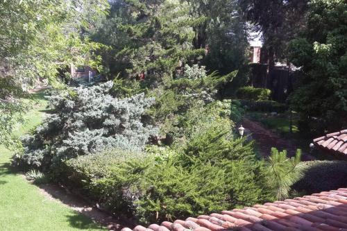 Nice home with gardens and trees, 3 full bedrooms, living and kitchen in León, Mexico