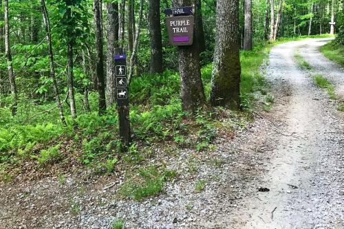 Patio with Fireplace Glenville Resort Retreat!