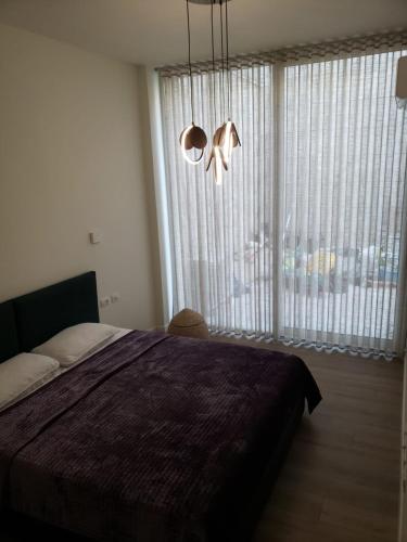 Two-Bedroom House image 6