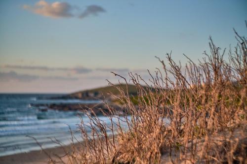 Foreshore at Fistral - image 14