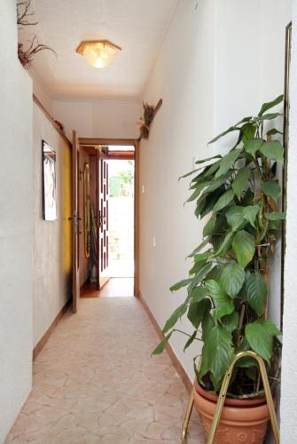 Studio with Terrace and Sea View image 1