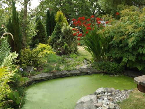 White Cottage Bed and Breakfast - image 6
