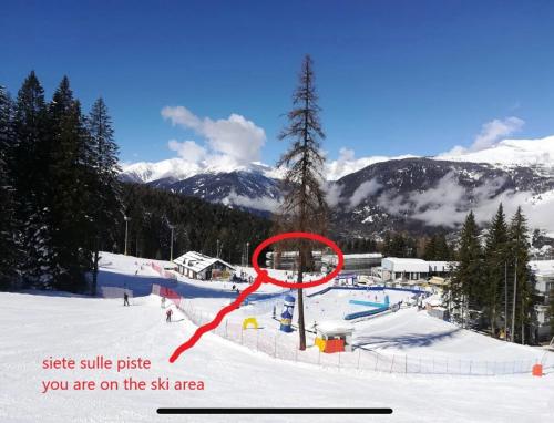 RESIDENCE ARTUICK AP.556 DIRETTAMENTE SULLE PISTE 3