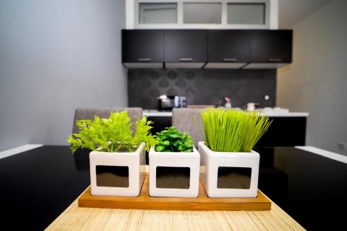 Ring Inn Apartments - image 2
