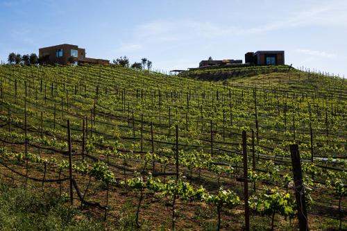 Estancias Sierravita – Valle de Guadalupe, VA