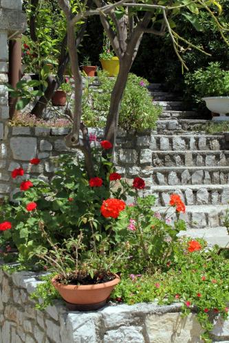 Apartments by the sea Mali Losinj (Losinj) - 2493 - image 8