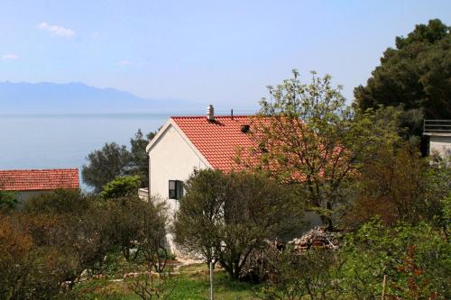  Apartments by the sea Zaostrog, Makarska - 2625 in Zaostrog
