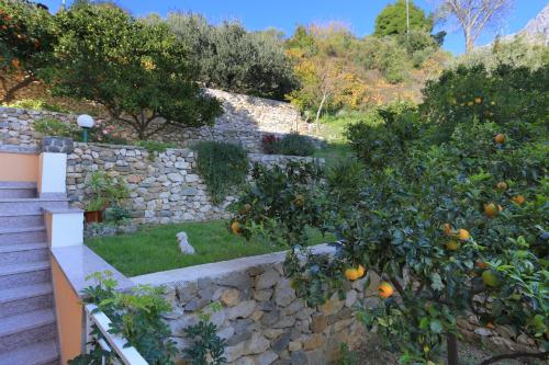 Apartments by the sea Podgora Makarska - 2594 - image 2