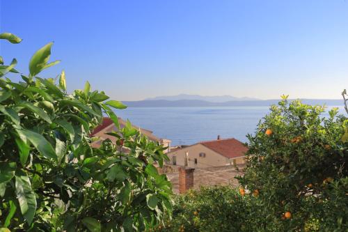 Apartments by the sea Podgora Makarska - 2594 - image 8