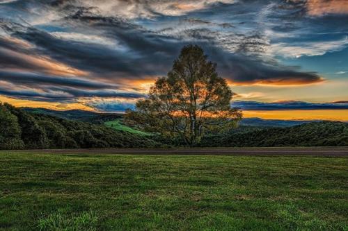 Cottage at Casuarina Lodge - Luxury, Pet Friendly in Glenville, USA