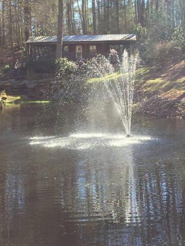 Cottage at Casuarina Lodge - Luxury, Pet Friendly in Glenville, USA