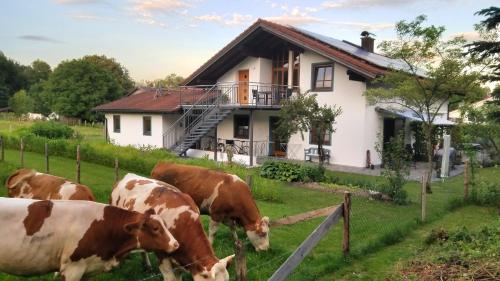 Exclusiv - Ferienwohnung Hinterreiter