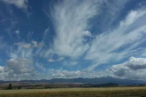 Chui Cottage with tennis facing Mt Kenya & near Ngare Ndare