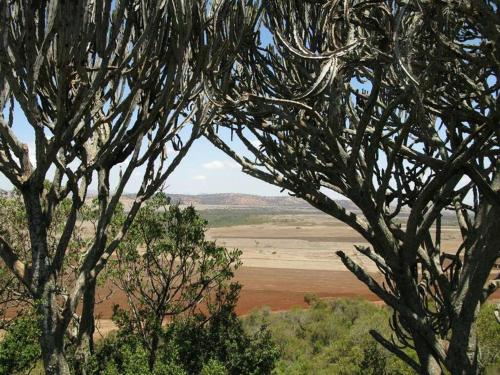 Chui Cottage with tennis facing Mt Kenya & near Ngare Ndare