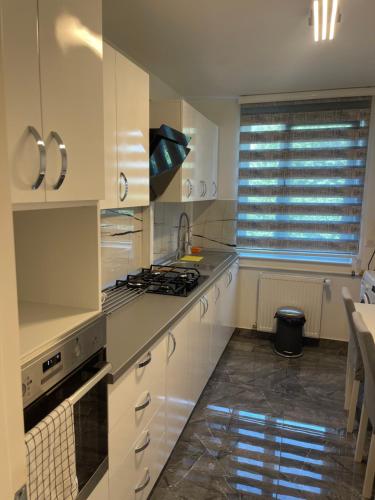 Apartament incantator in Roman in Roman