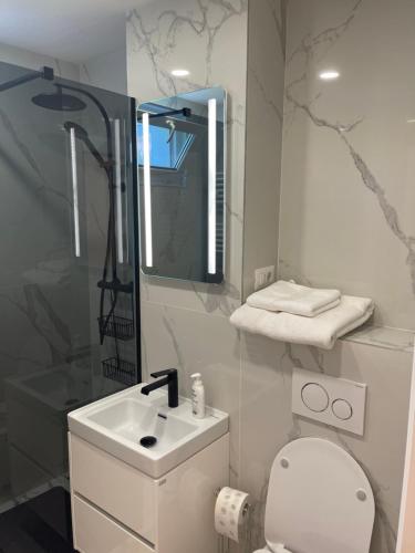 Apartament incantator in Roman in Roman