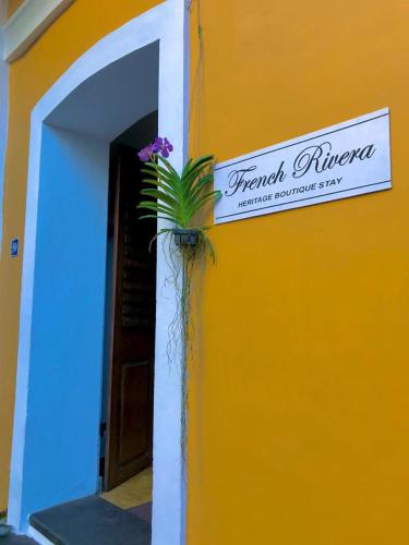 French Rivera