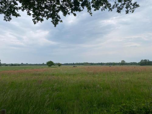 Hotel erfgoedlogies de Hooge Stukken - image 12