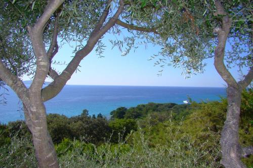 VILLA 4pers, STUNNING SEA VIEW, BEACH ON FOOT 4*, Olmeto (foto 10)