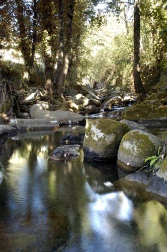 Apartamento Rural Arbequina