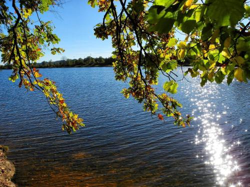 Ferienwohnungen in Losheim am See