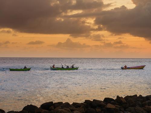 386310984 The Liming Bequia