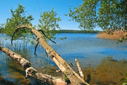 "Blaues Haus am See mit Boot"