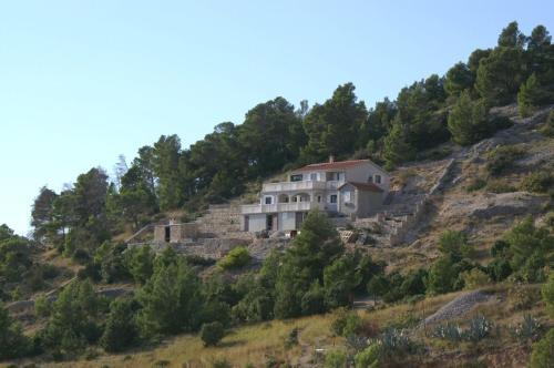 Isolated apartments with a parking space Cove Vela Farska, Brac - 2897