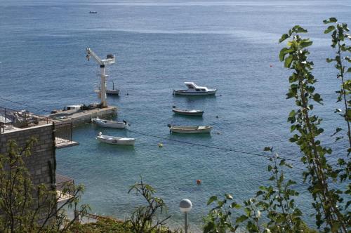 Apartments by the sea Bol Brac - 2905 - image 6