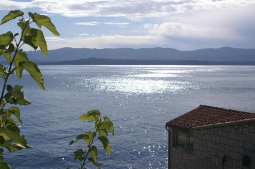 Apartments by the sea Bol Brac - 2905 - image 13