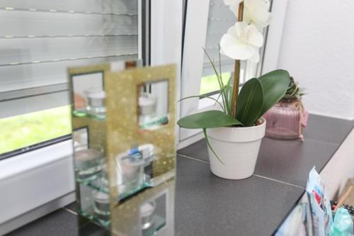 Helly's apartman - main image