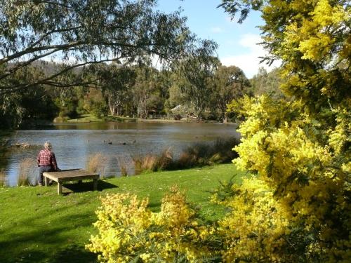 The Burrow at Wombat Bend