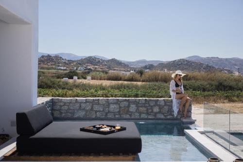 386368324 Milestones Naxos