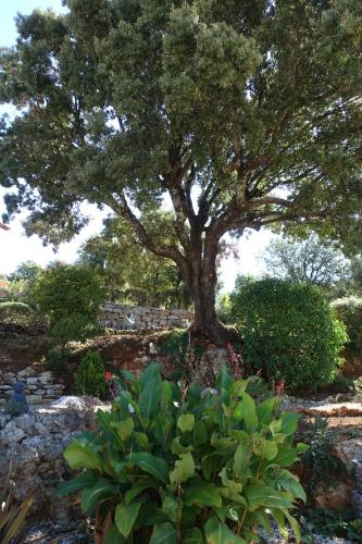 Ailleurs Land - Provence