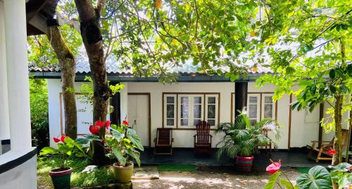 drongo place, Dikwella