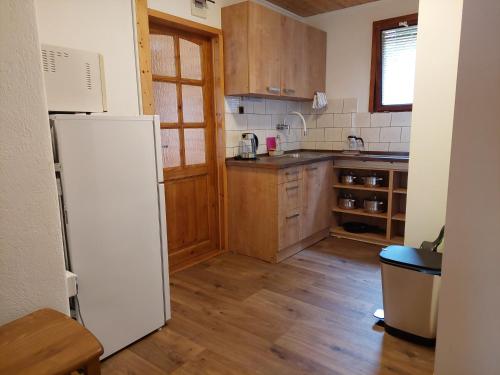 廚房, ZÁTOKA Živohošť - Apartmány (ZATOKA Zivohost - Apartmany) in 克戈維斯諾瓦斯科凱斯