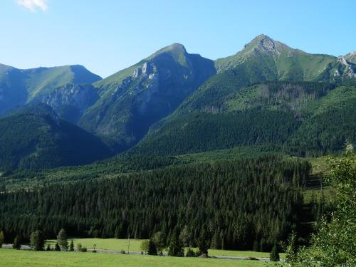Penzion Slovakia - image 7