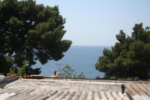 Apartments by the sea Bilo Primosten - 3090 - main image