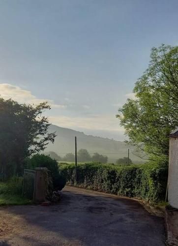 Suir Valley Cottage. in Ballymacarbry