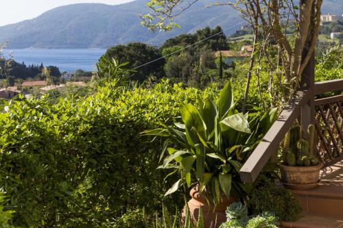 Villa Monserrato - main image