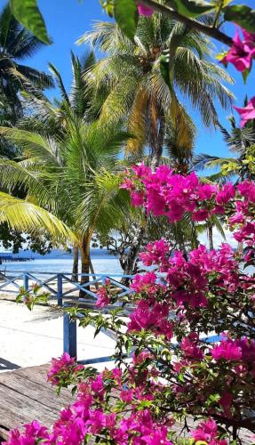 Frances Homestay - Raja Ampat