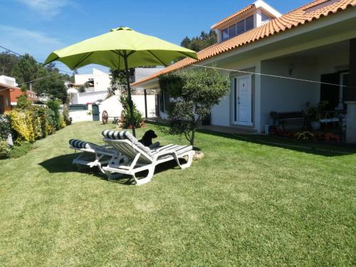  TERRENO DAS MIMOSAS in Aveiro